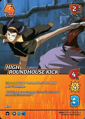 High Roundhouse Kick