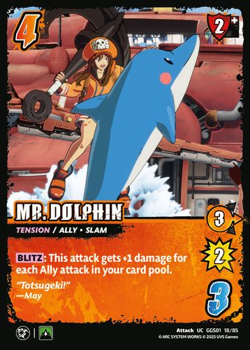 Mr. Dolphin