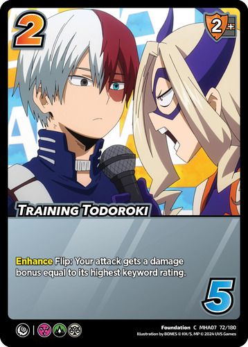 Training Todoroki