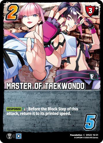 Master of Taekwondo